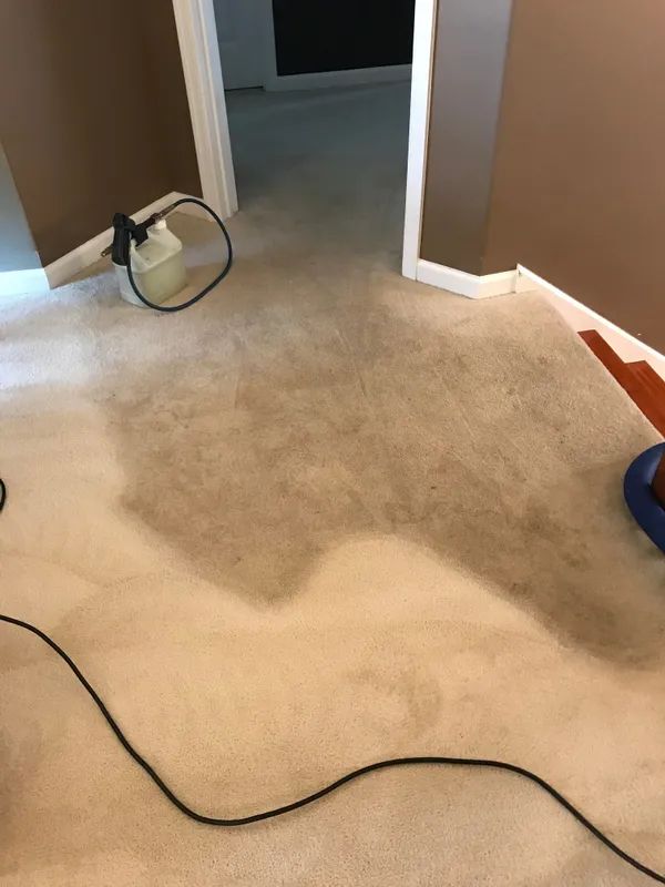 Carpet, Upholstery & Tile Cleaning