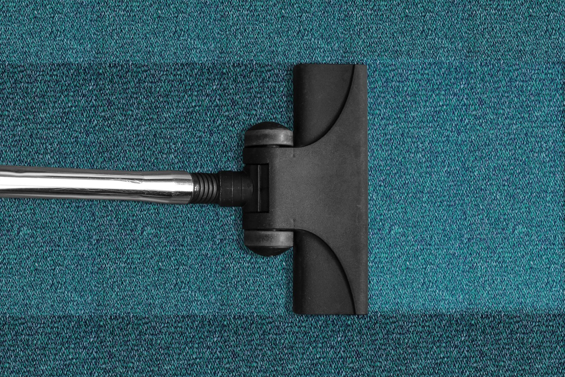 sanitizing carpets