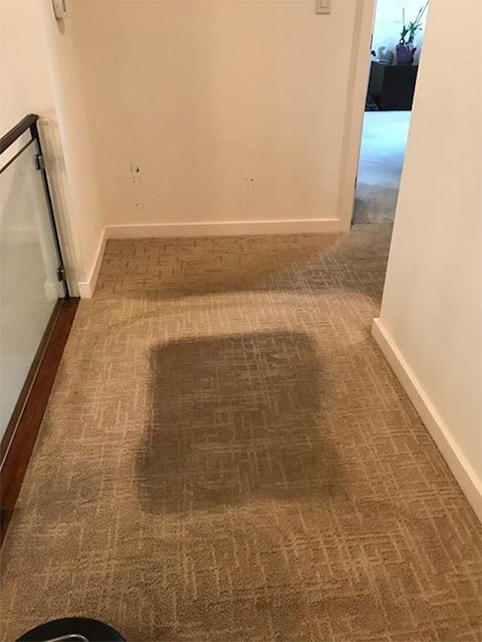 carpet cleaning services pa