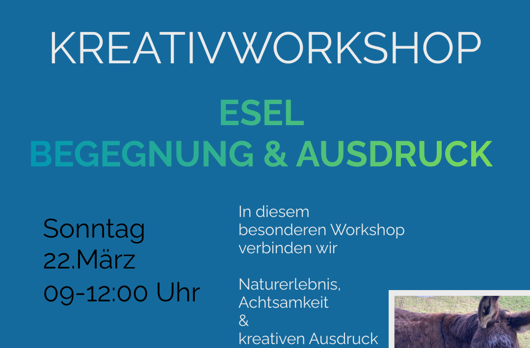 Kreativworkshop Esel Begegnung und Audruck in der Talmühle Haigerloch 
