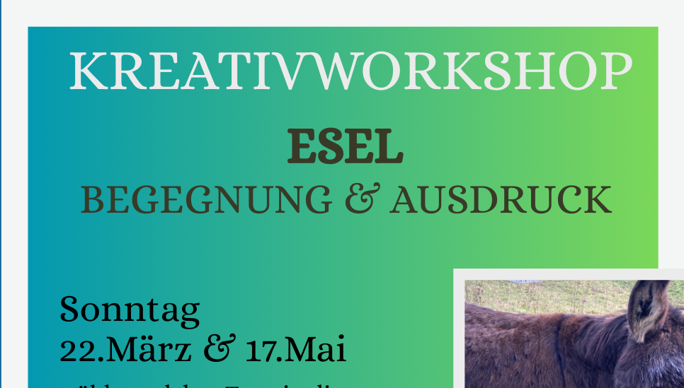 Kreativworkshop Esel Begegnung und Audruck in der Talmühle Haigerloch