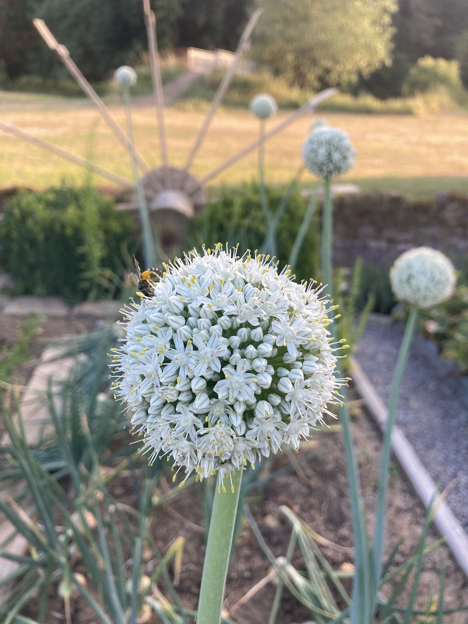 Raum für Veranstaltungen bei Haigerloch