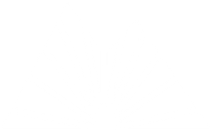 An empty white image.