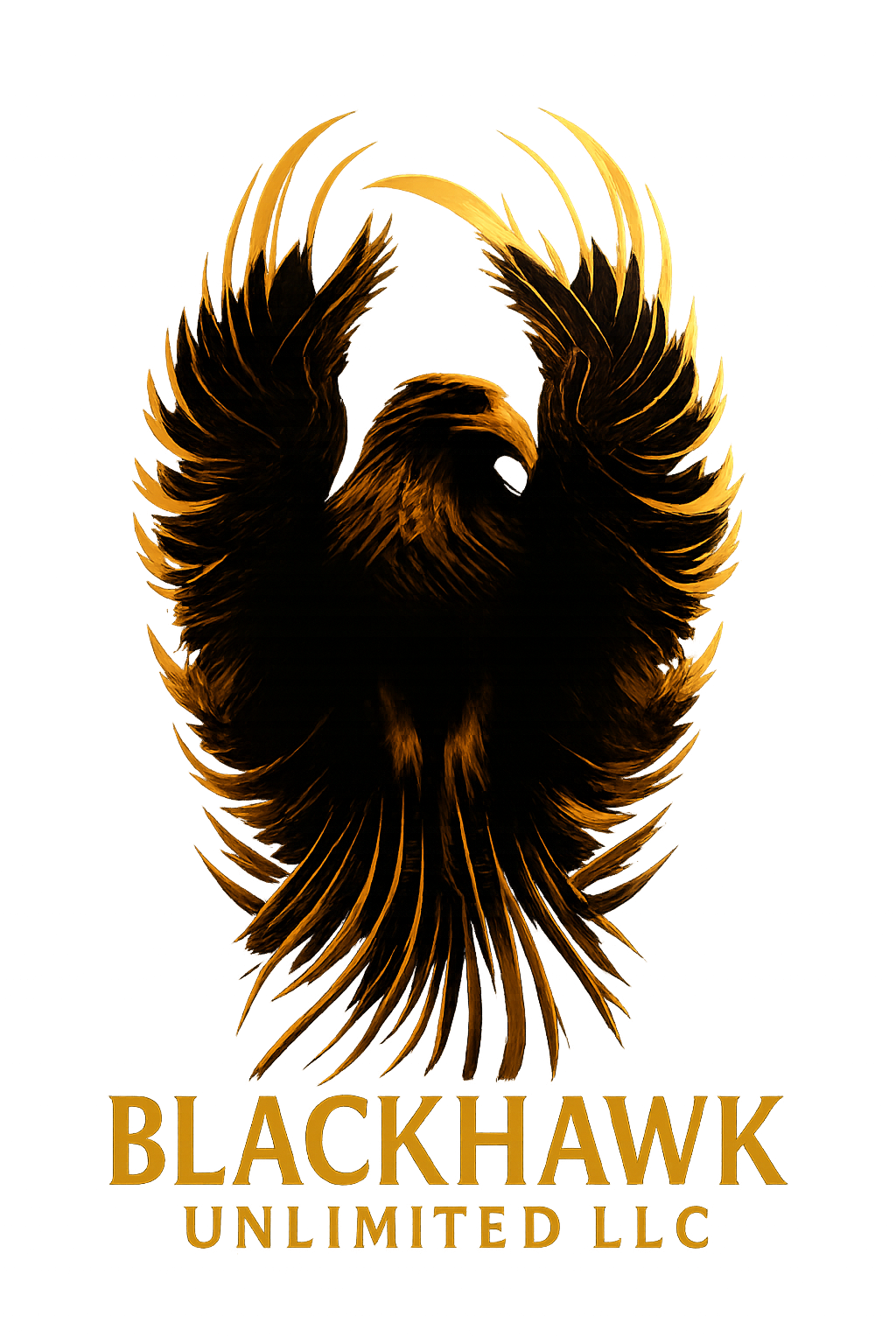 Blackhawk Unlimited LLC