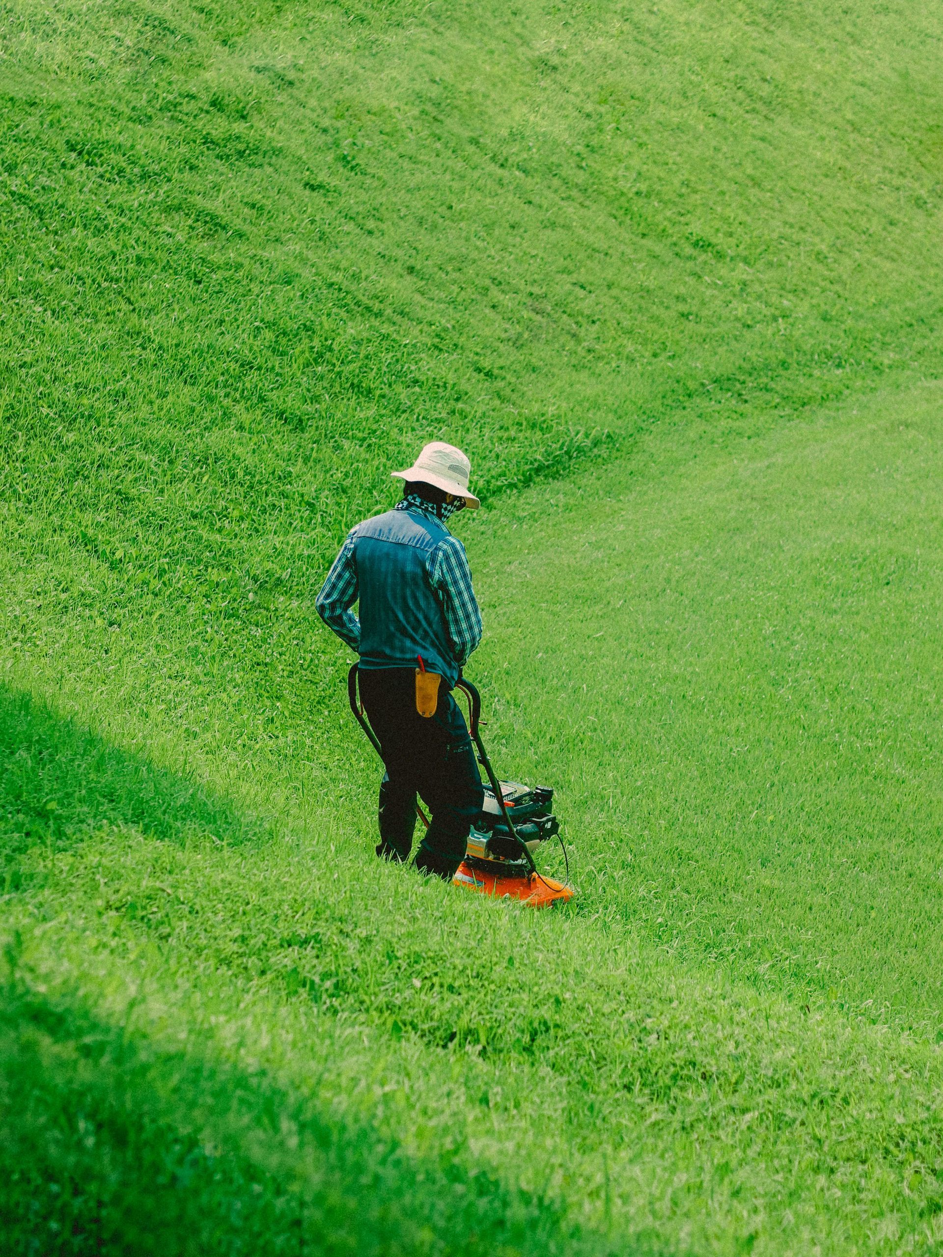 A person mowing a grassy hillside with a lawnmower; green grass and blue sky.