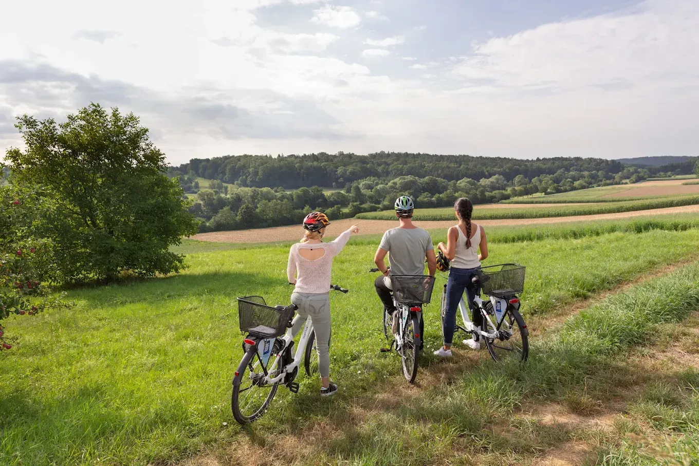 Drei Radfahrer auf einem Grasweg, einer zeigt auf entfernte Bäume, sonniger Tag.