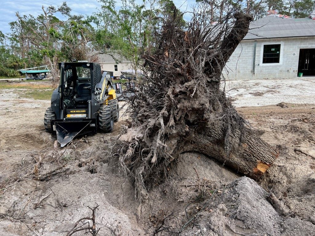 Stump Digger — Sarasota, FL — RIM Express