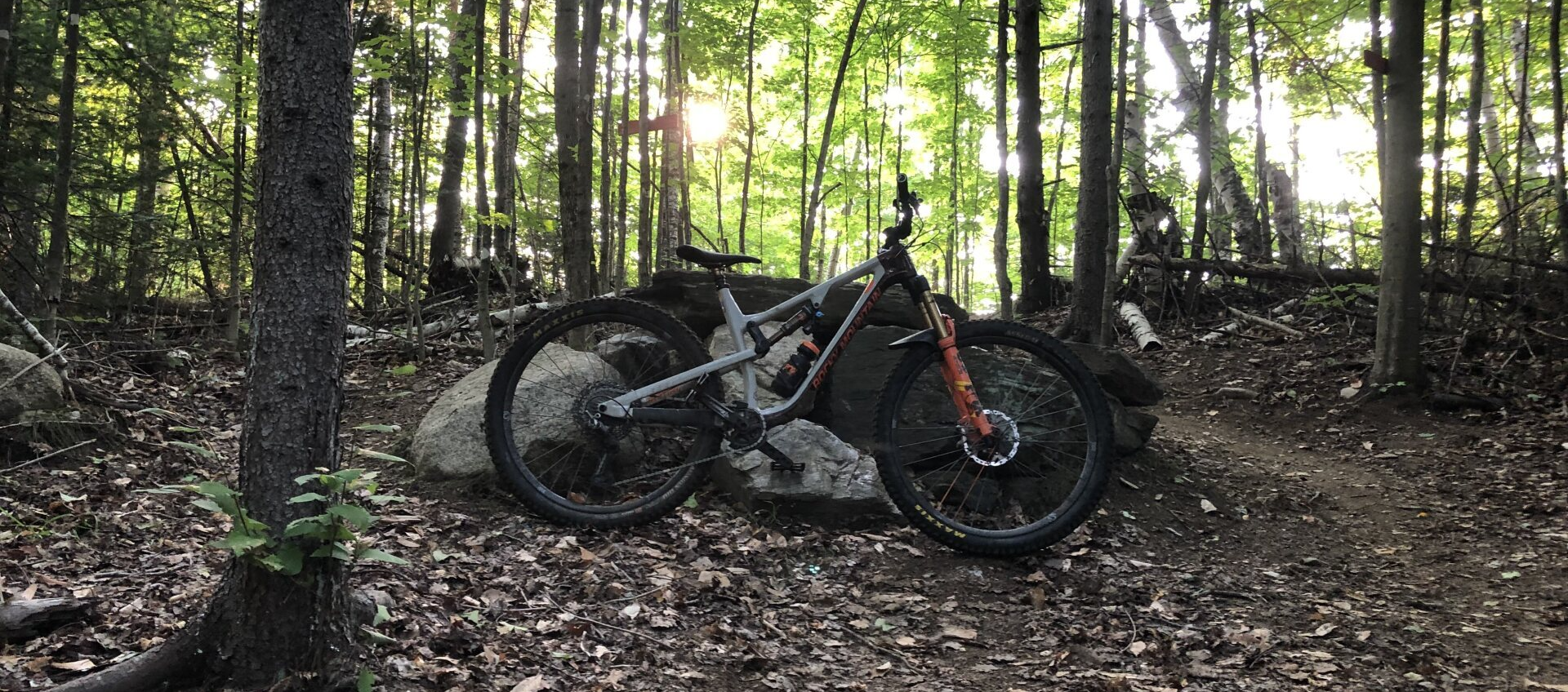 mountain bike leaning up against a rock