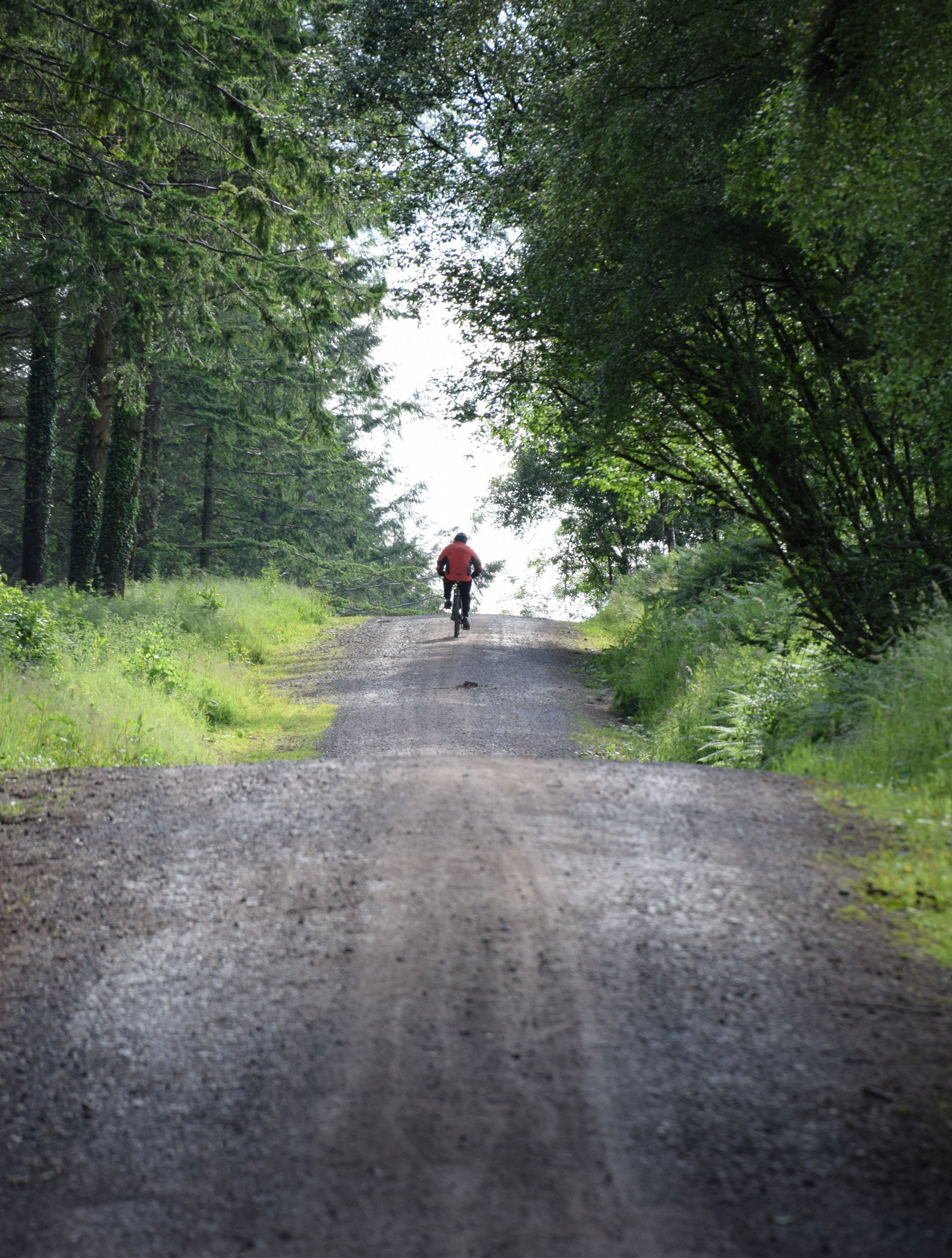 emtb vs mtb and things you should know