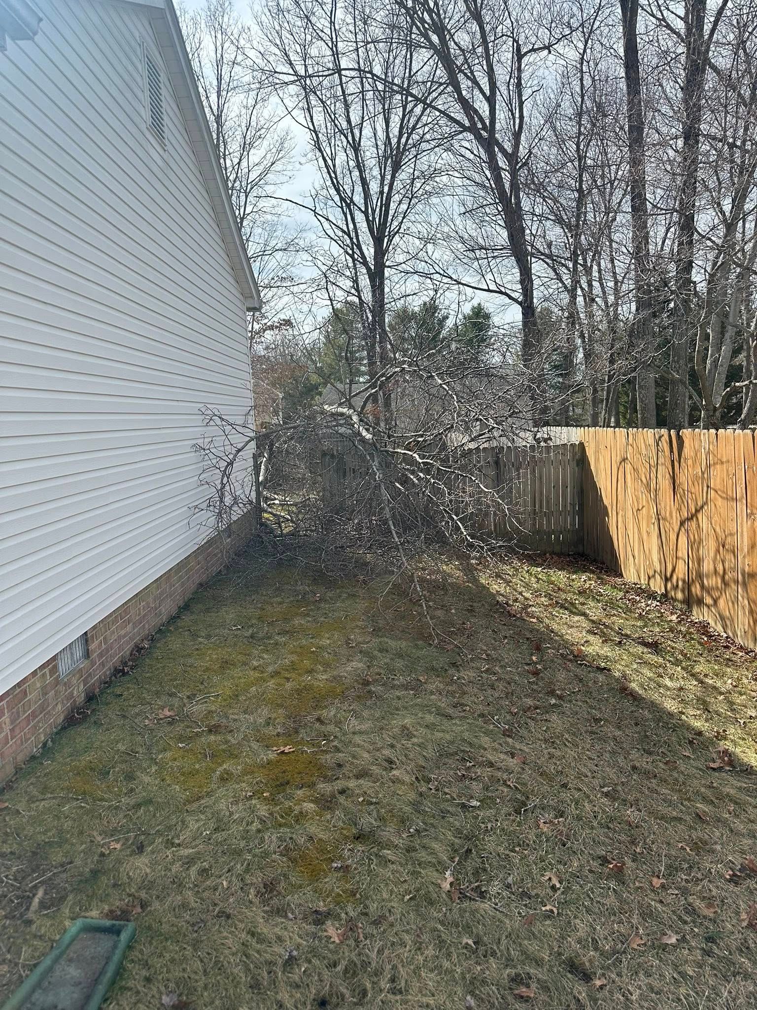 A pile of tree branches next to a house with a wooden fence in a yard with brown grass.