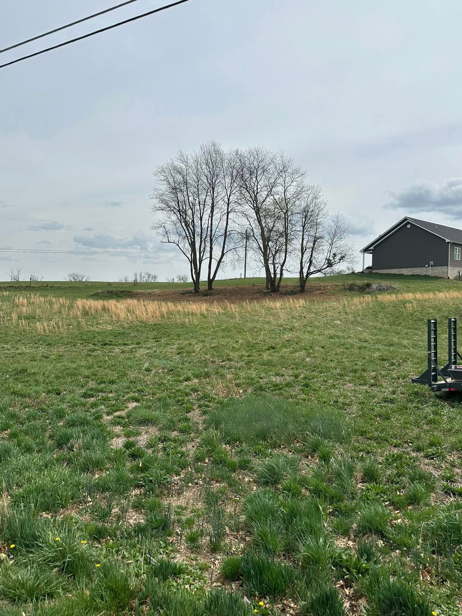 Field with green grass and small trees against a cloudy sky, small building in the background.