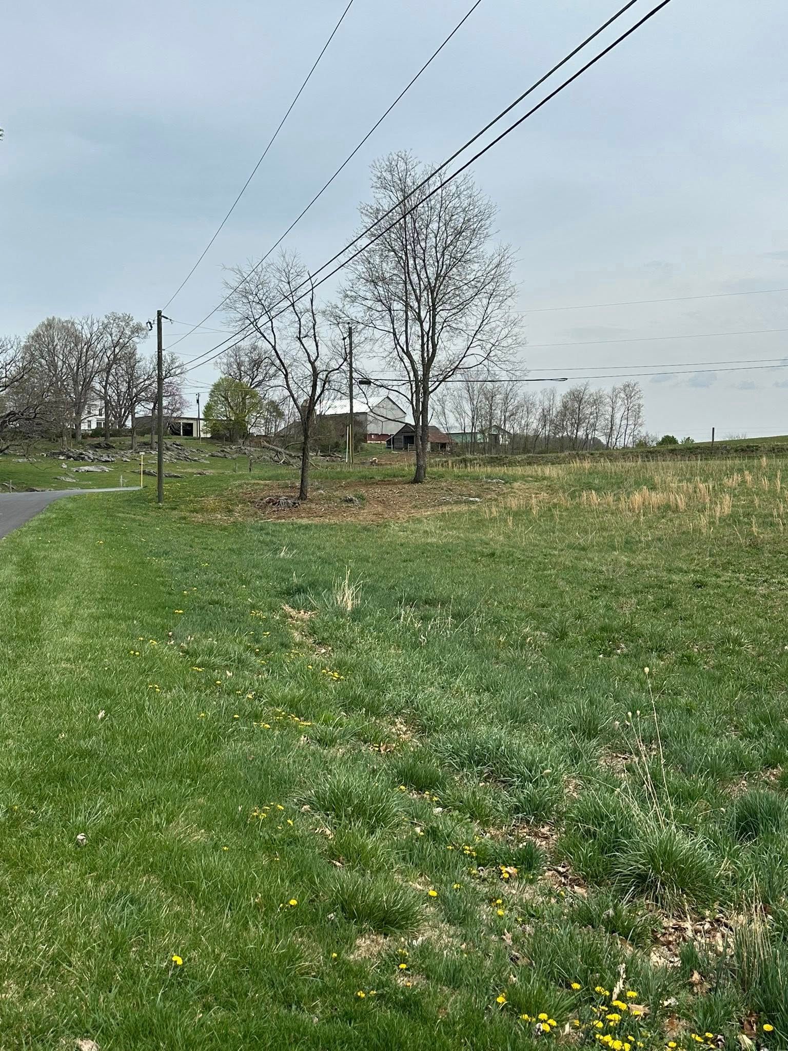 Grassy field with trees and a house in the background under a cloudy sky; power lines overhead.
