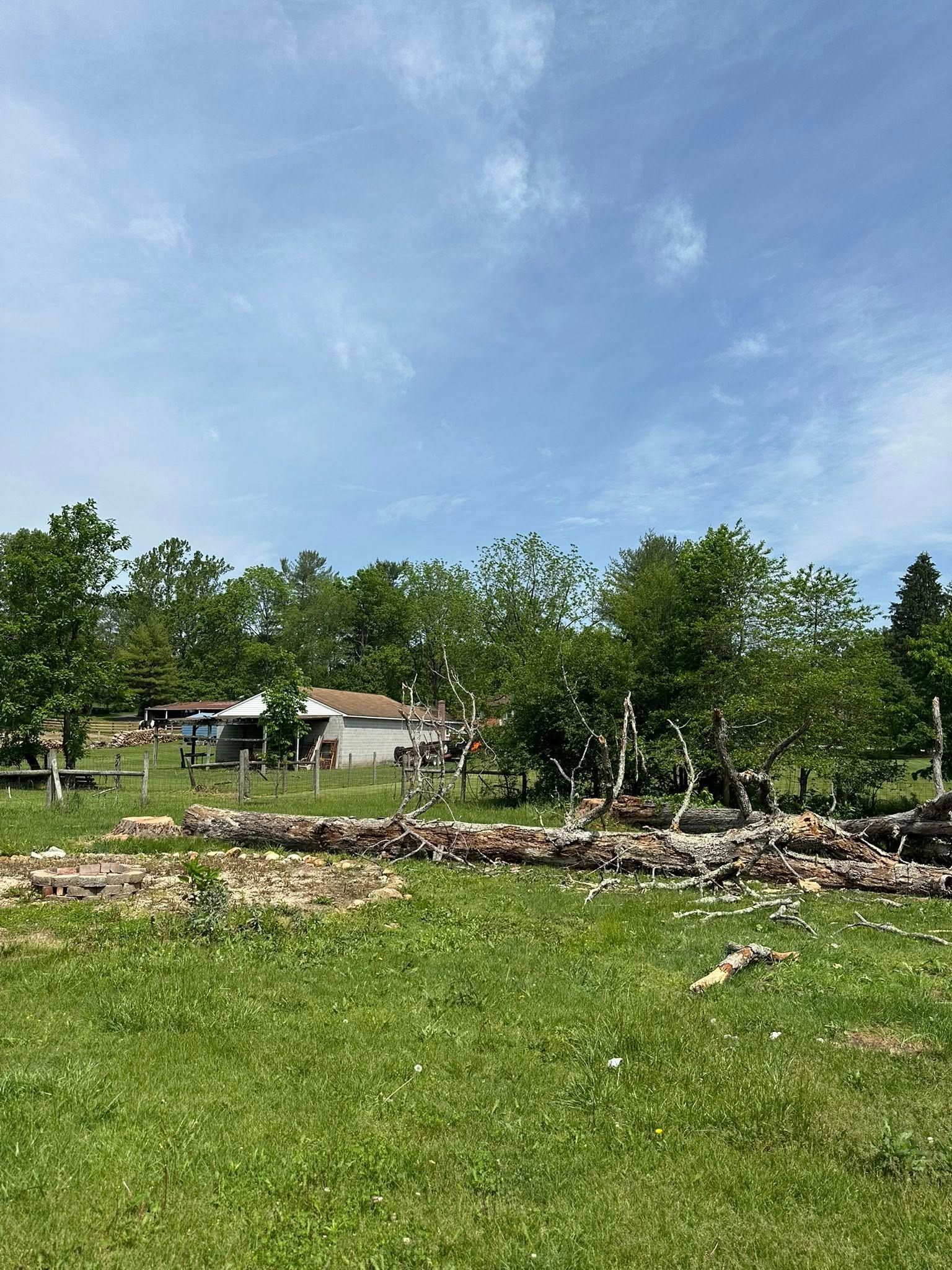 Green field with logs in foreground, building and trees under blue sky.