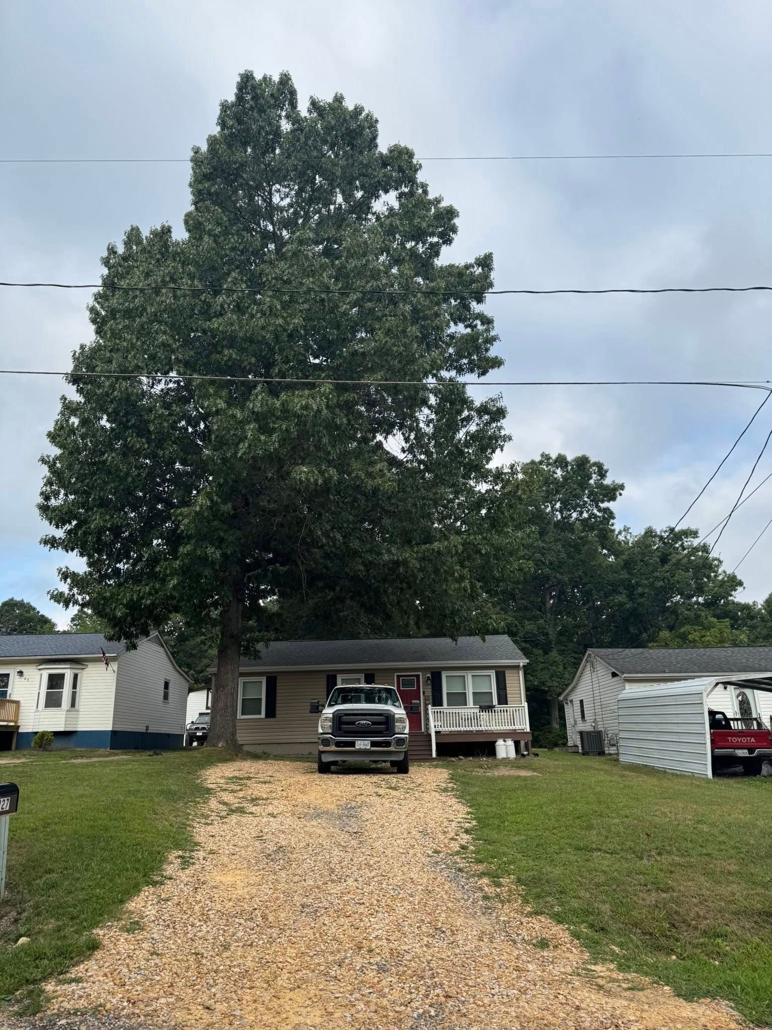 Small house obscured by large tree, gravel driveway. Truck parked in front. Cloudy sky.