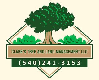 Clark’s Tree and Land Management