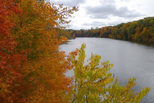 A lake surrounded by trees with autumn leaves on them