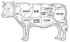 Diagram of a cow with sections labeled for different beef cuts.