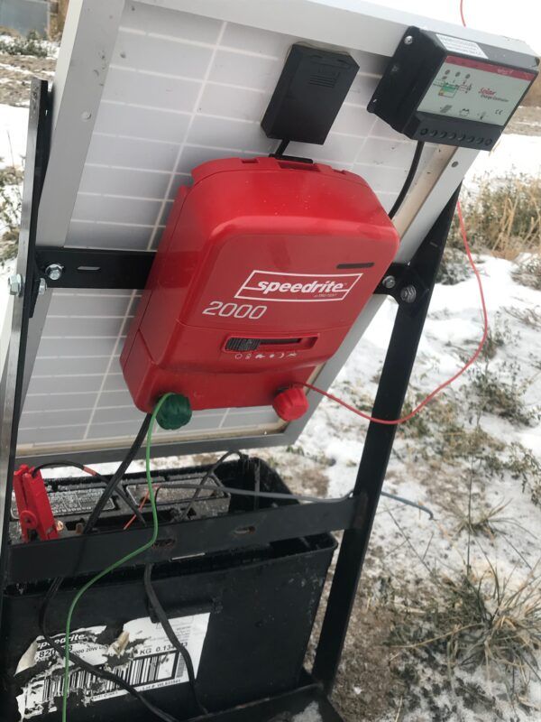 Solar-powered electric fence energizer with a red Speedrite 2000 unit, mounted on a metal frame.