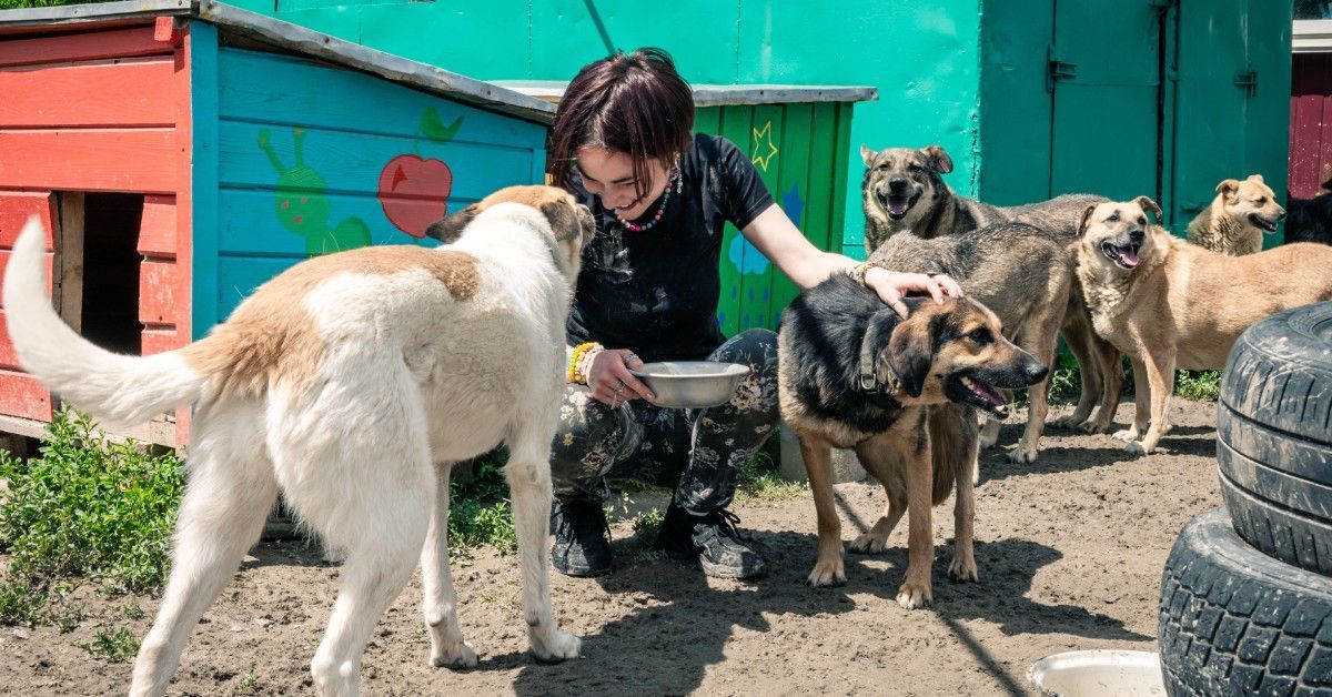A woman crouches outdoors as she feeds a group of dogs with a metal bowl. There are colorful structures in the background.