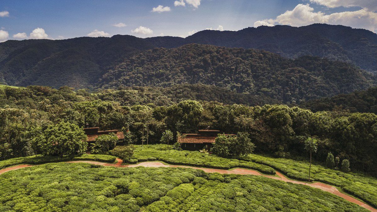 Aerial View Nyungwe House Rwanda Accommodation - Mist Rwanda Safaris