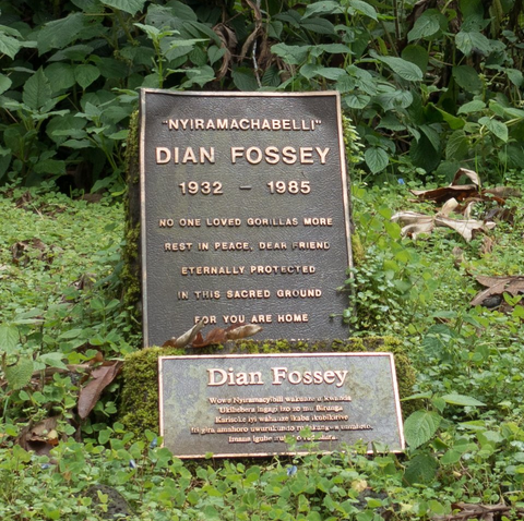 Dian Fossey Tomb site - Mist Rwanda Safaris