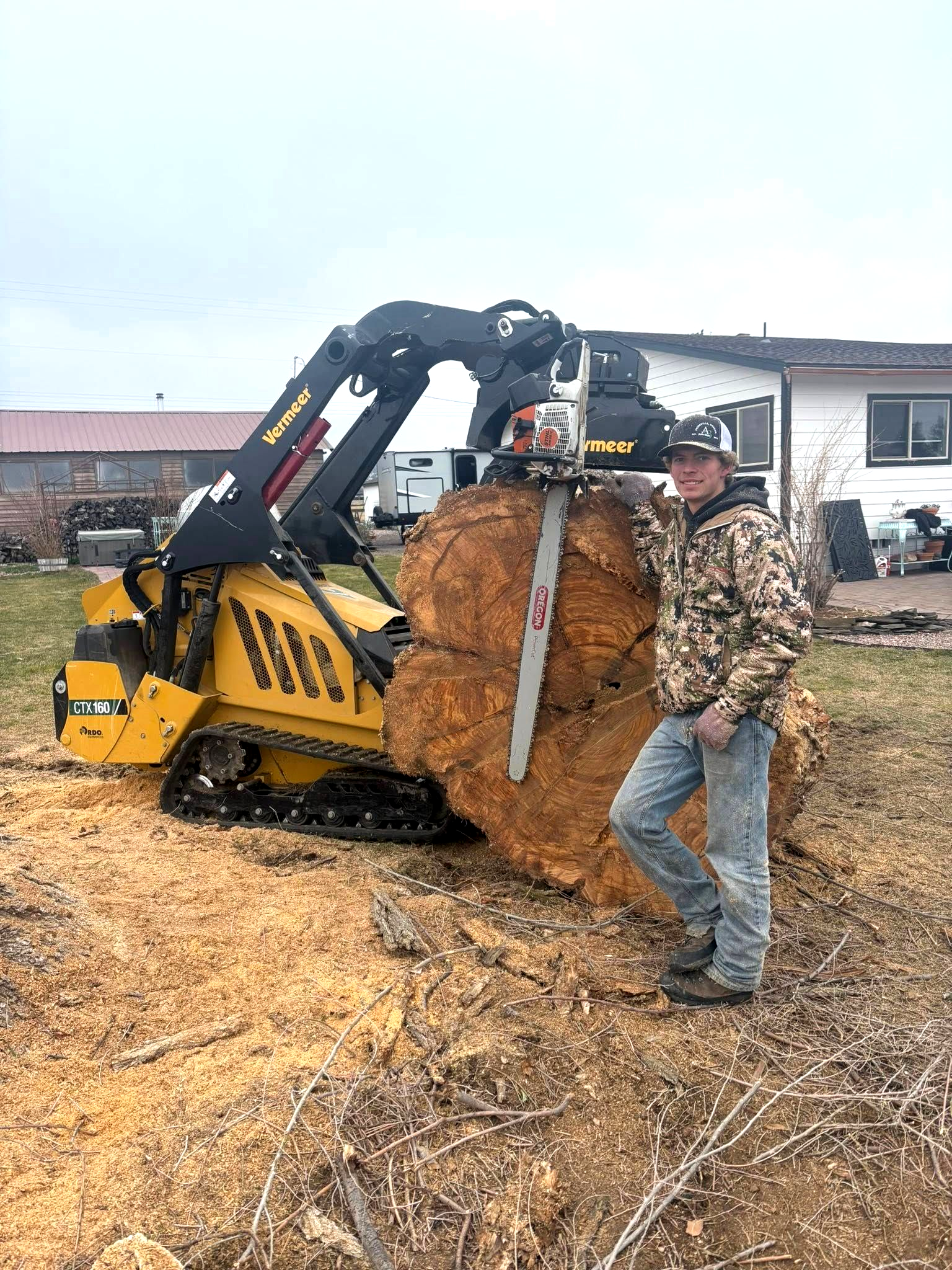 Tree removal crew felling a large ponderosa pine in Bend
 Oregon