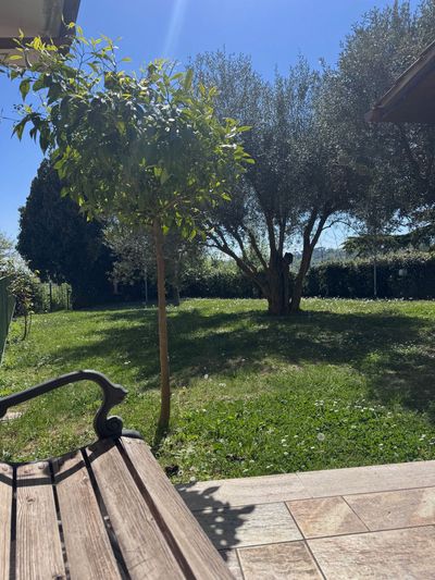 Un prato ben curato con una panchina