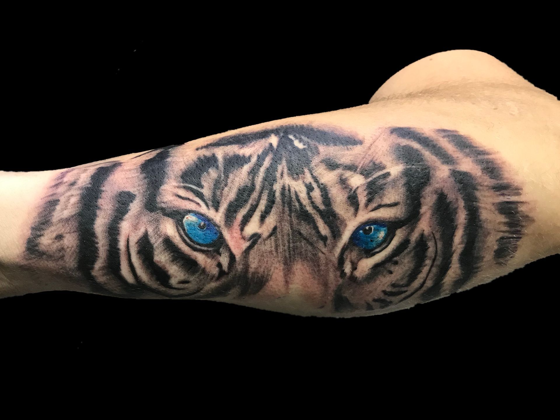 Our Local Tattoo Artists Fort Worth, TX