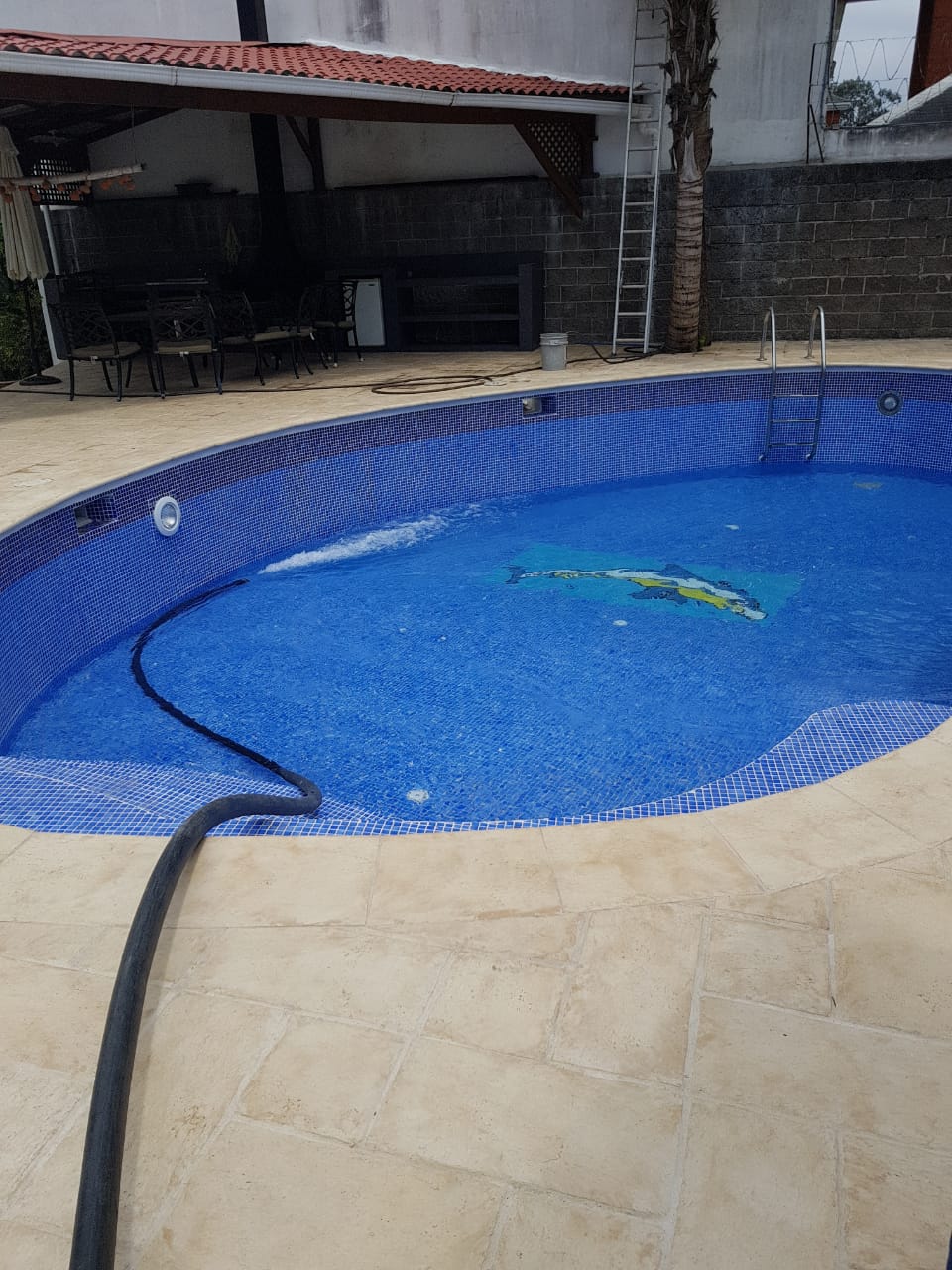 Piscina llena de agua azul, manguera negra, borde color canela, paredes de azulejos.