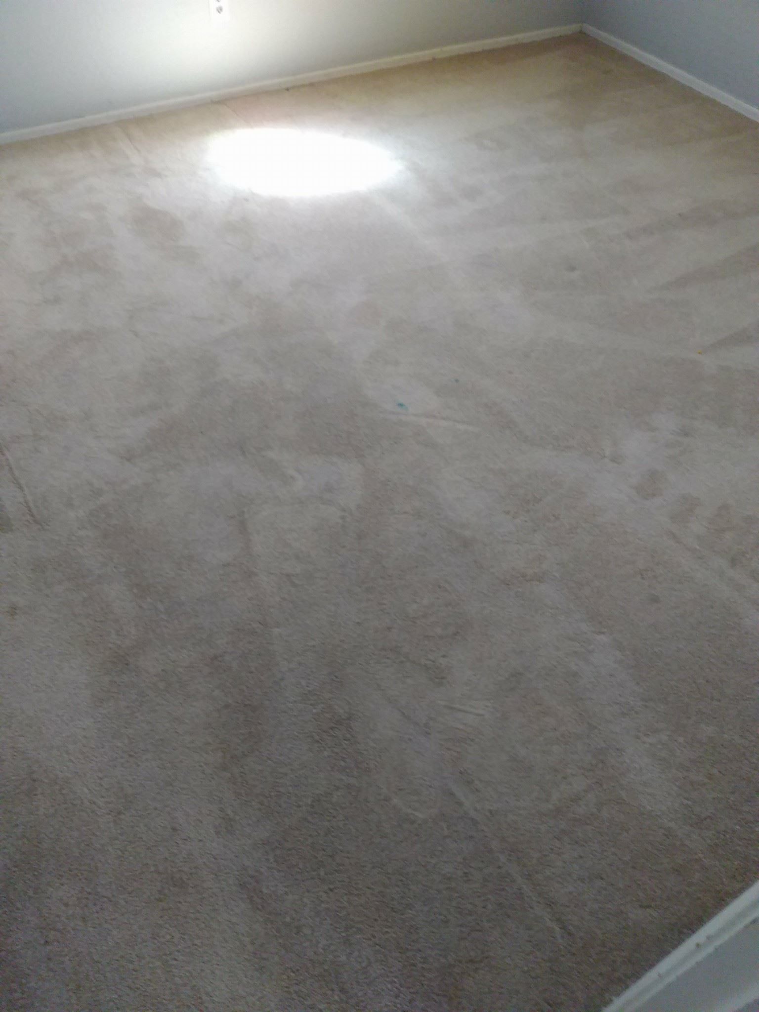 Smiles Cleaning Service LLC  - carpet cleaning in a residential