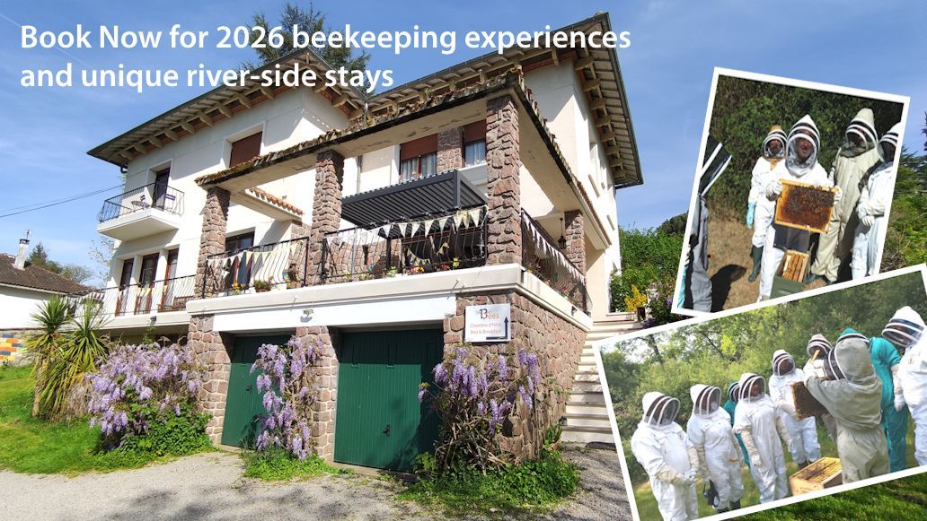 13 Bees chambre d'hôte, bed and breakfast and beekeeping workshops