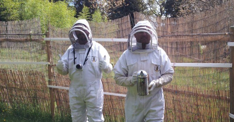 Guests having fun in the apiary