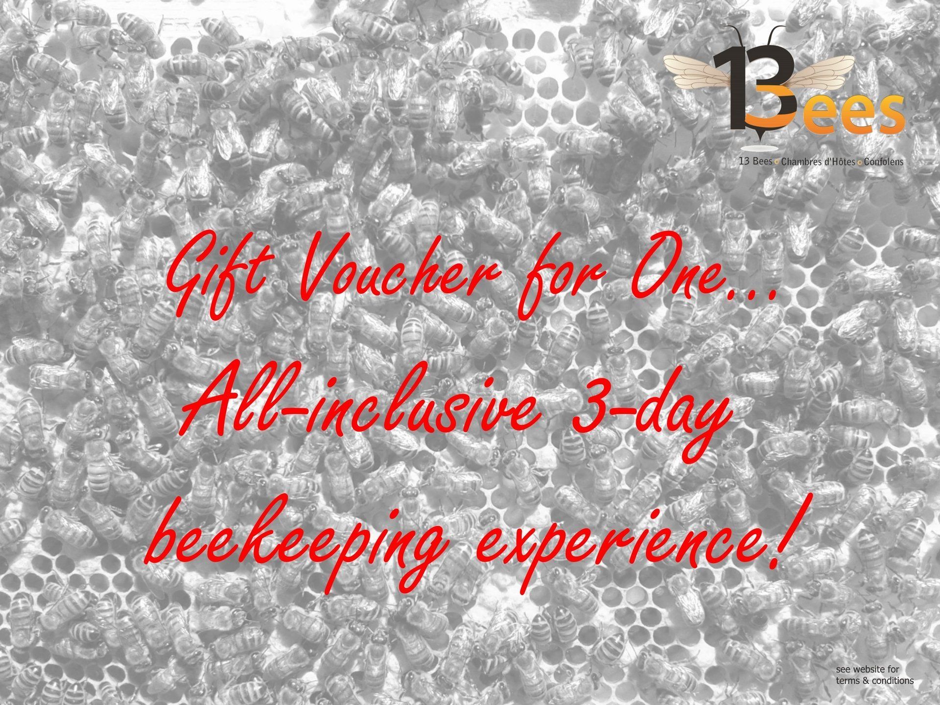 3-day beekeeping break gift voucher