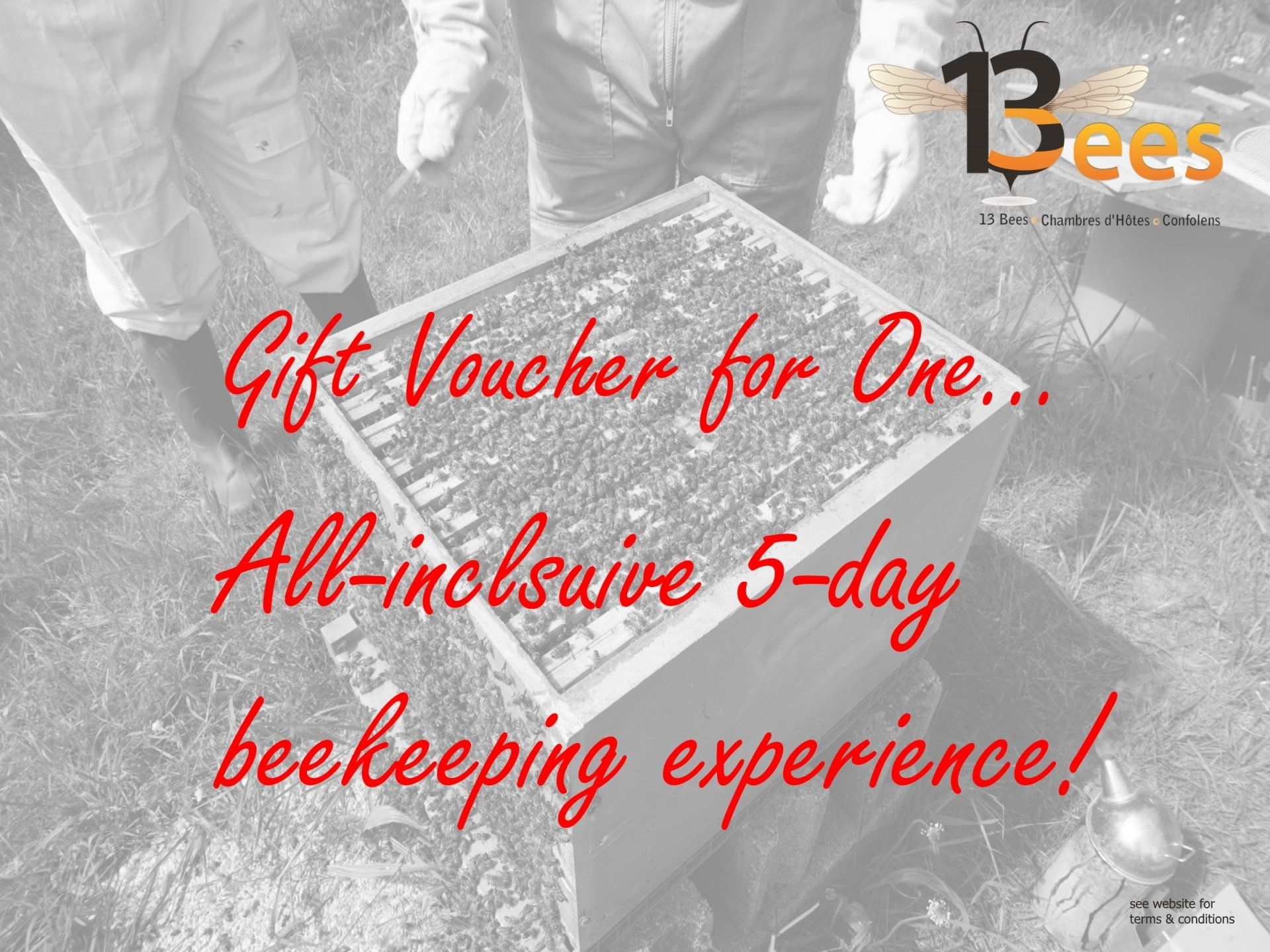 6-day beekeeping experience gift voucher