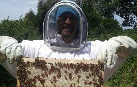 Gain new skills and learn about bee-keeping in Chaussin, France