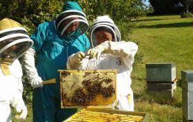 Gain new skills and learn about bee-keeping in Chaussin, France