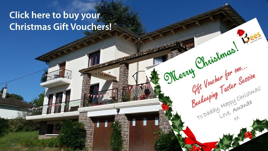 Christmas beekeeping experience vouchers