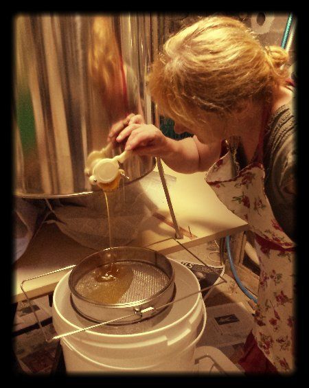 Amanda extracting our honey harvest