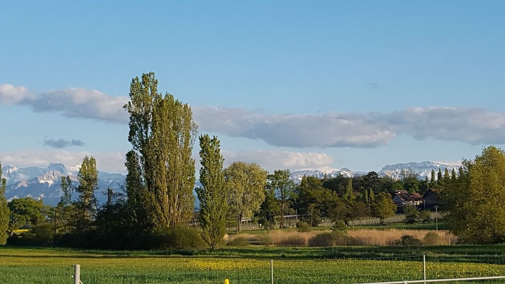 environnement du rouelbeau