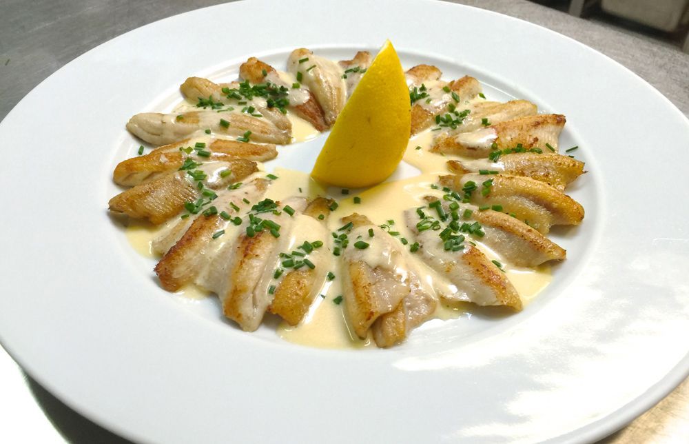 filets de perche avec sauce