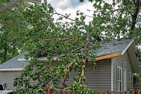 A tree has fallen on the roof of a house A tree has fallen on the roof of a house