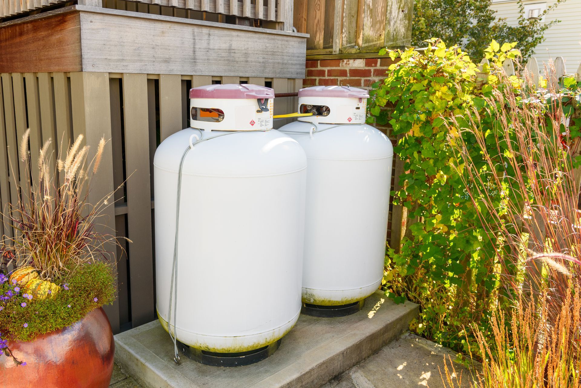 Two white propane tanks with red tops beside a wooden shed, surrounded by greenery.