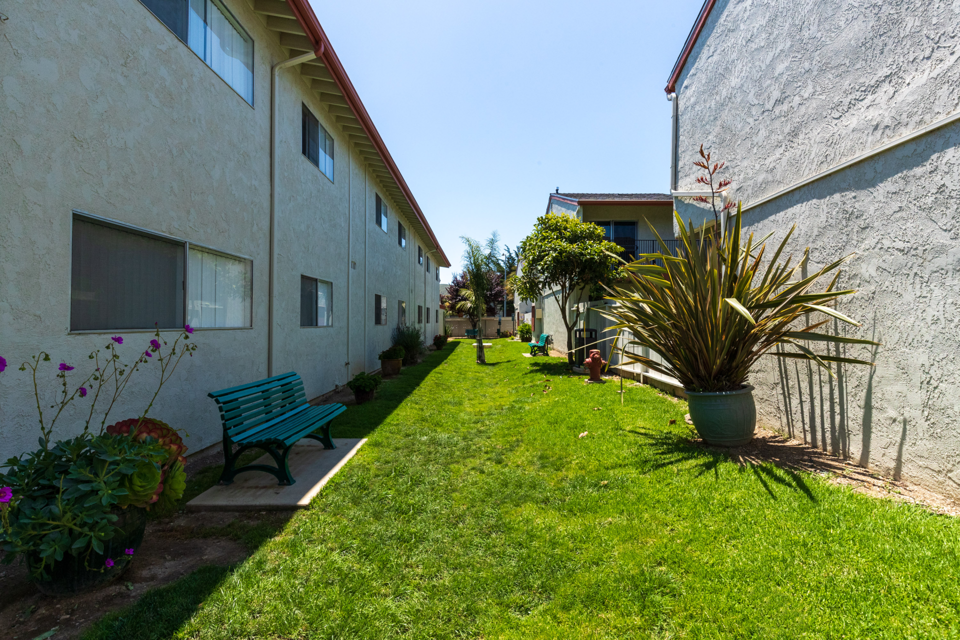 the palms exterior