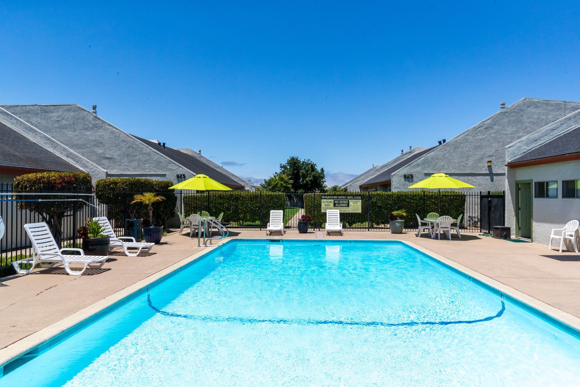 the palms pool