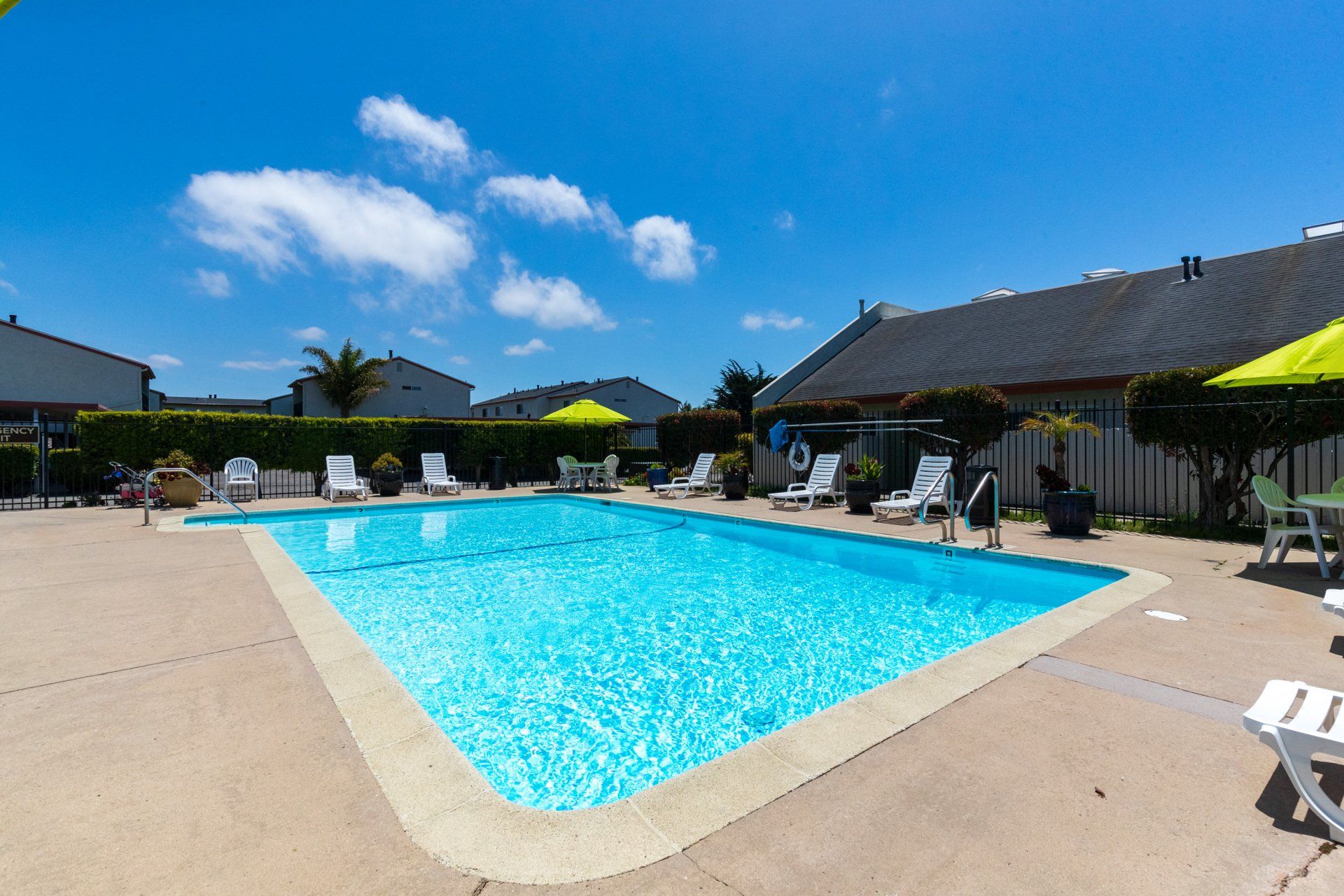 the palms pool