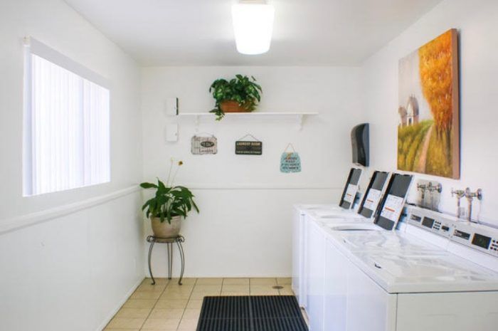 the palms laundry
