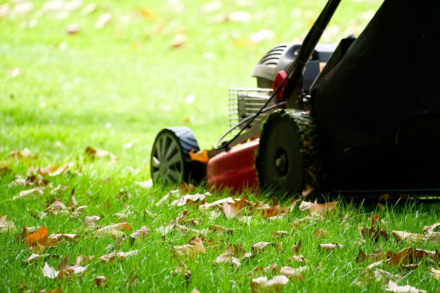 Lawn Mower in Garden