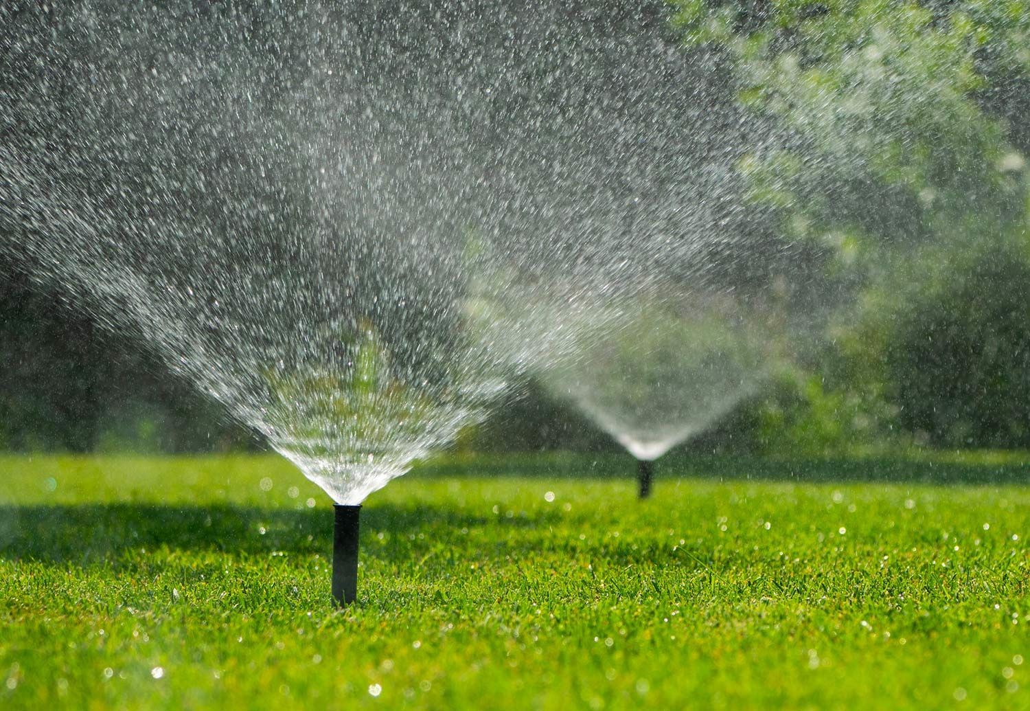 Irrigation System in Backyard