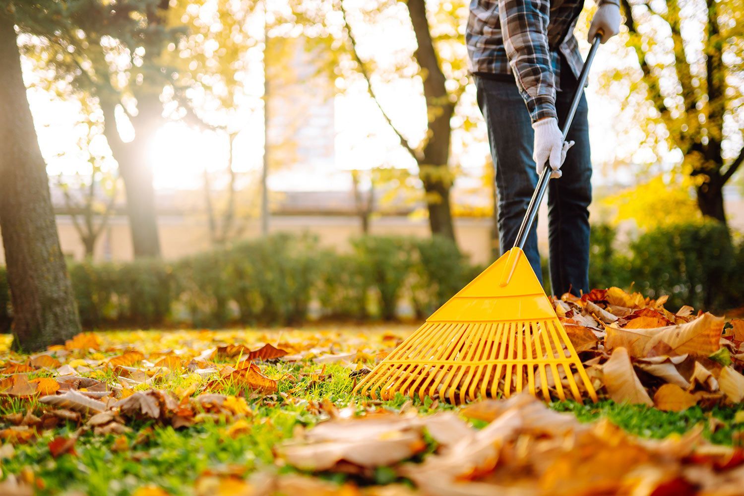 Worker Cleaning the Fallen Leaves