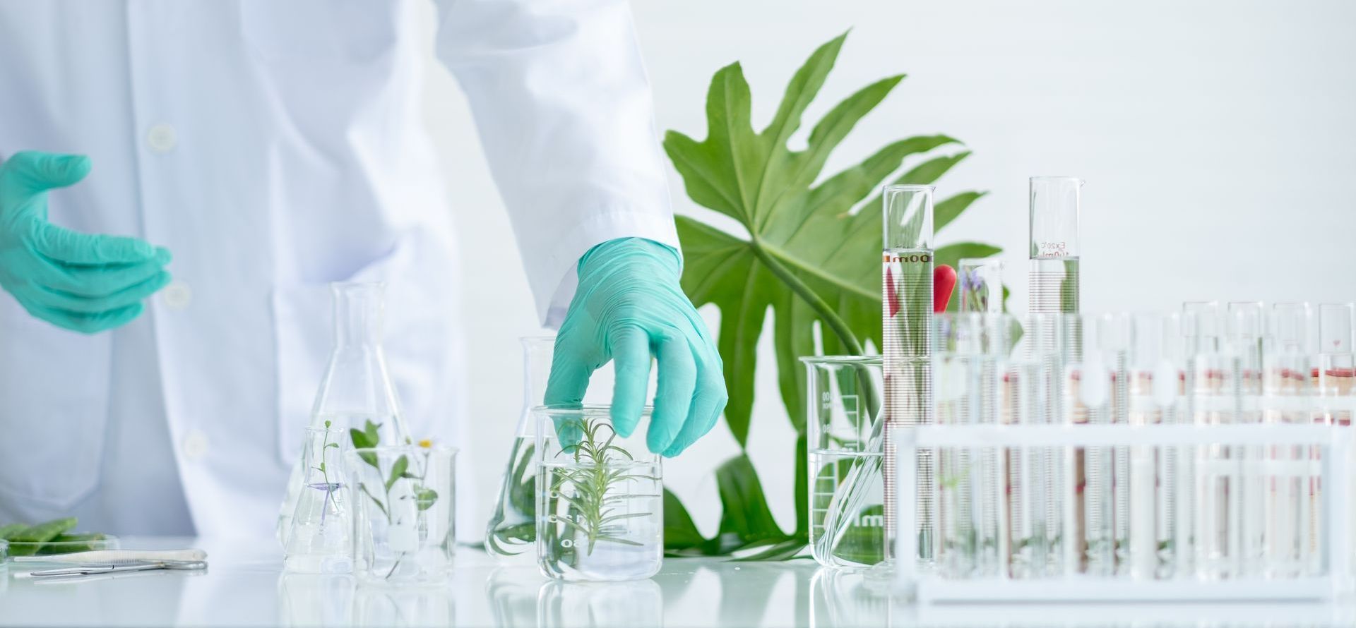 a scientist is holding a test tube with a plant in it .